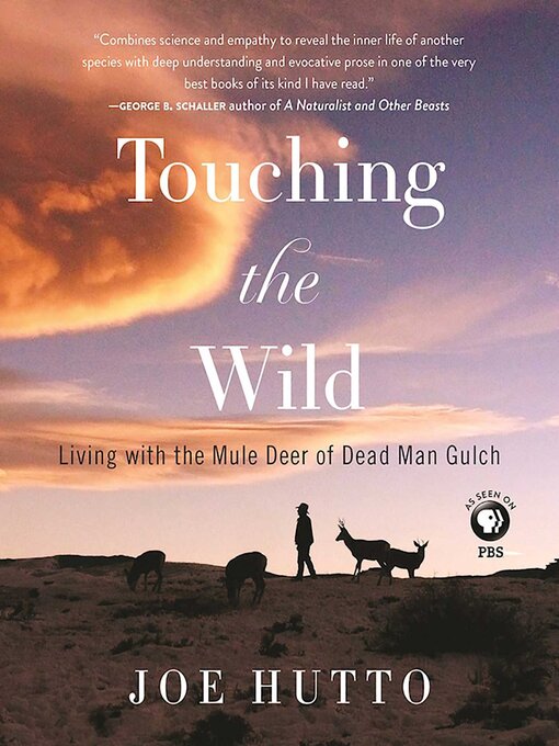 Title details for Touching the Wild by Joe Hutto - Available